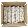 Chinese New Crop Purel White Garlic